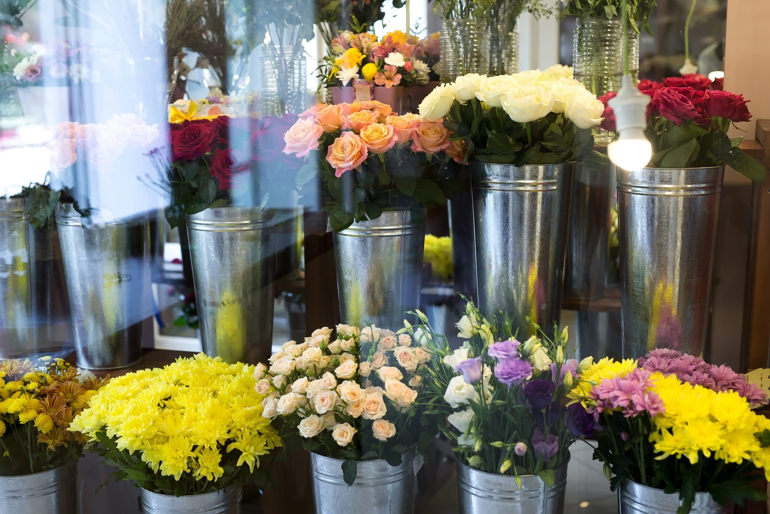 Bouquet à Toulon