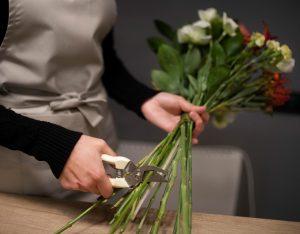 Entretien de vos fleurs avec votre fleuriste près d'Ollioules