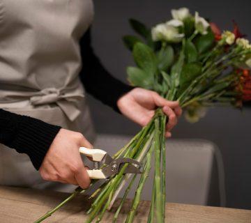 Entretien de vos fleurs avec votre fleuriste près d'Ollioules