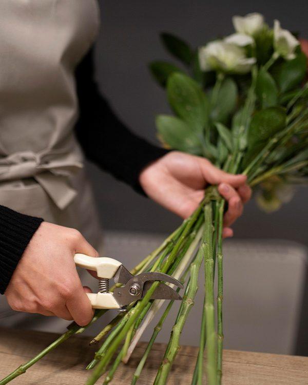 Entretien de vos fleurs avec votre fleuriste près d'Ollioules