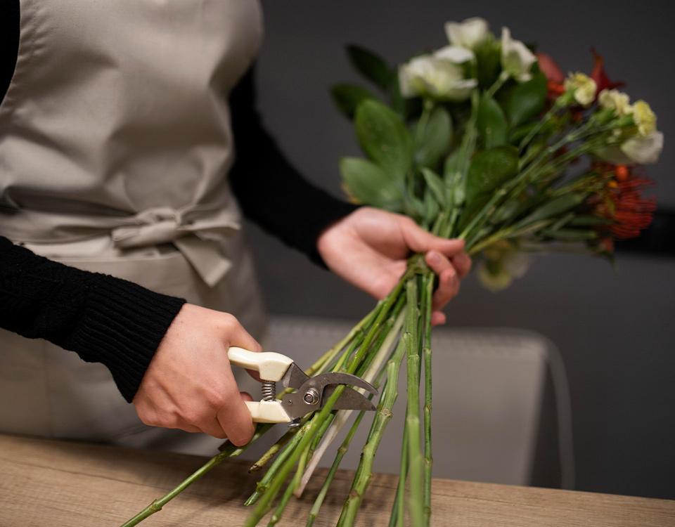 Entretien de vos fleurs avec votre fleuriste près d'Ollioules